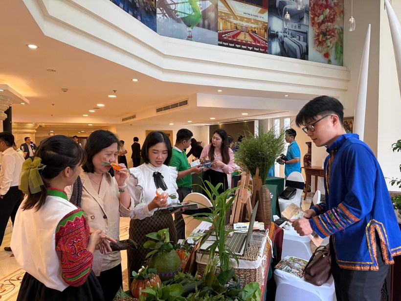 Hình thành hệ sinh thái du lịch y tế Thành phố Hồ Chí Minh cùng Đồng bằng sông Cửu Long và Đông Nam Bộ