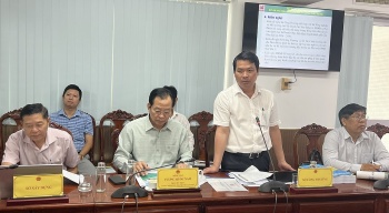 Khẩn trương triển khai dự án Nhà máy điện mặt trời Sao Mai 1 tại Cần Thơ