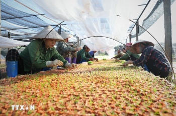 Dự thảo văn kiện ĐH XIV: Khai thác tiềm năng nguồn nhân lực và kinh tế tư nhân