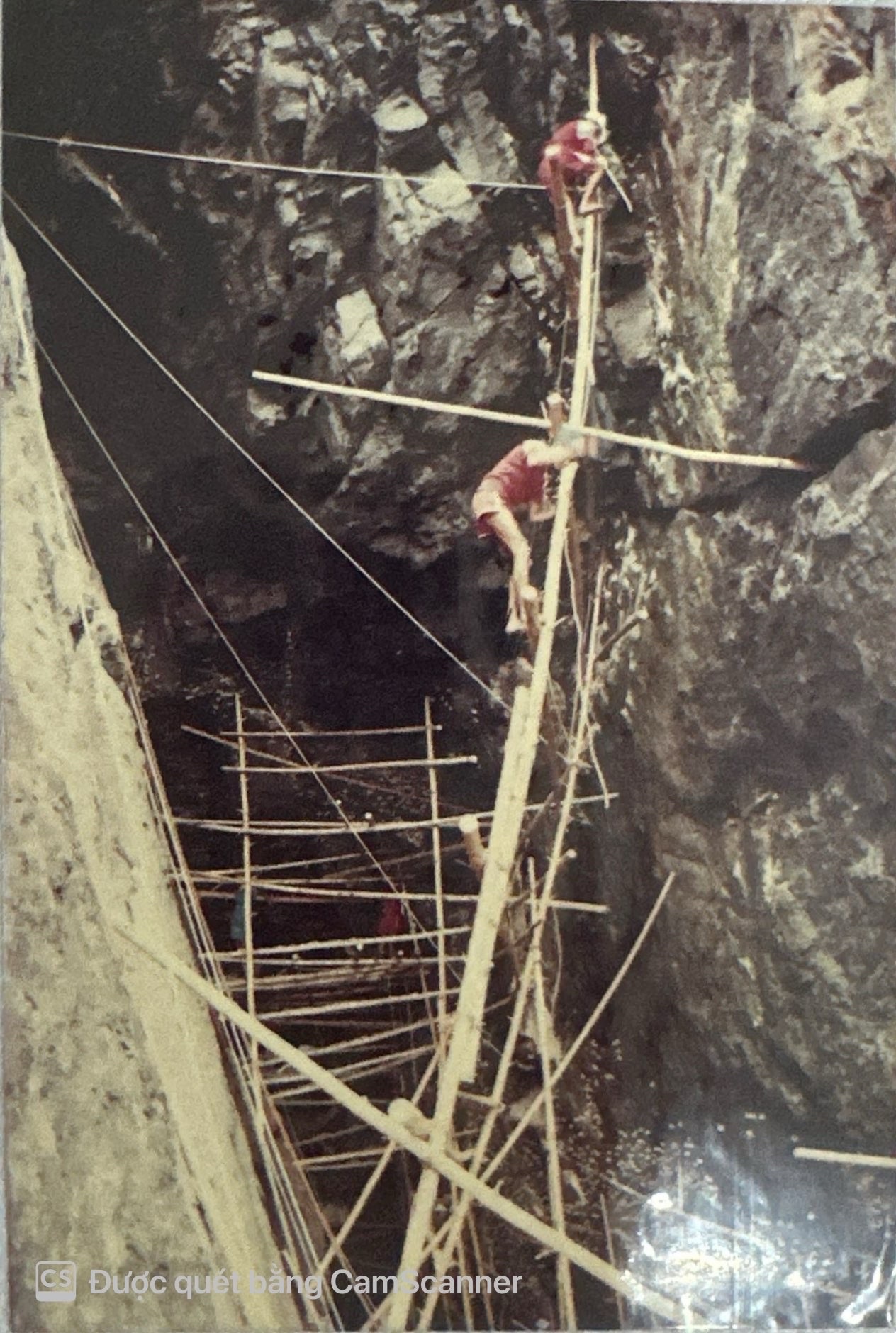 Khai thác yến sào đảo thiên nhiên năm 1990.