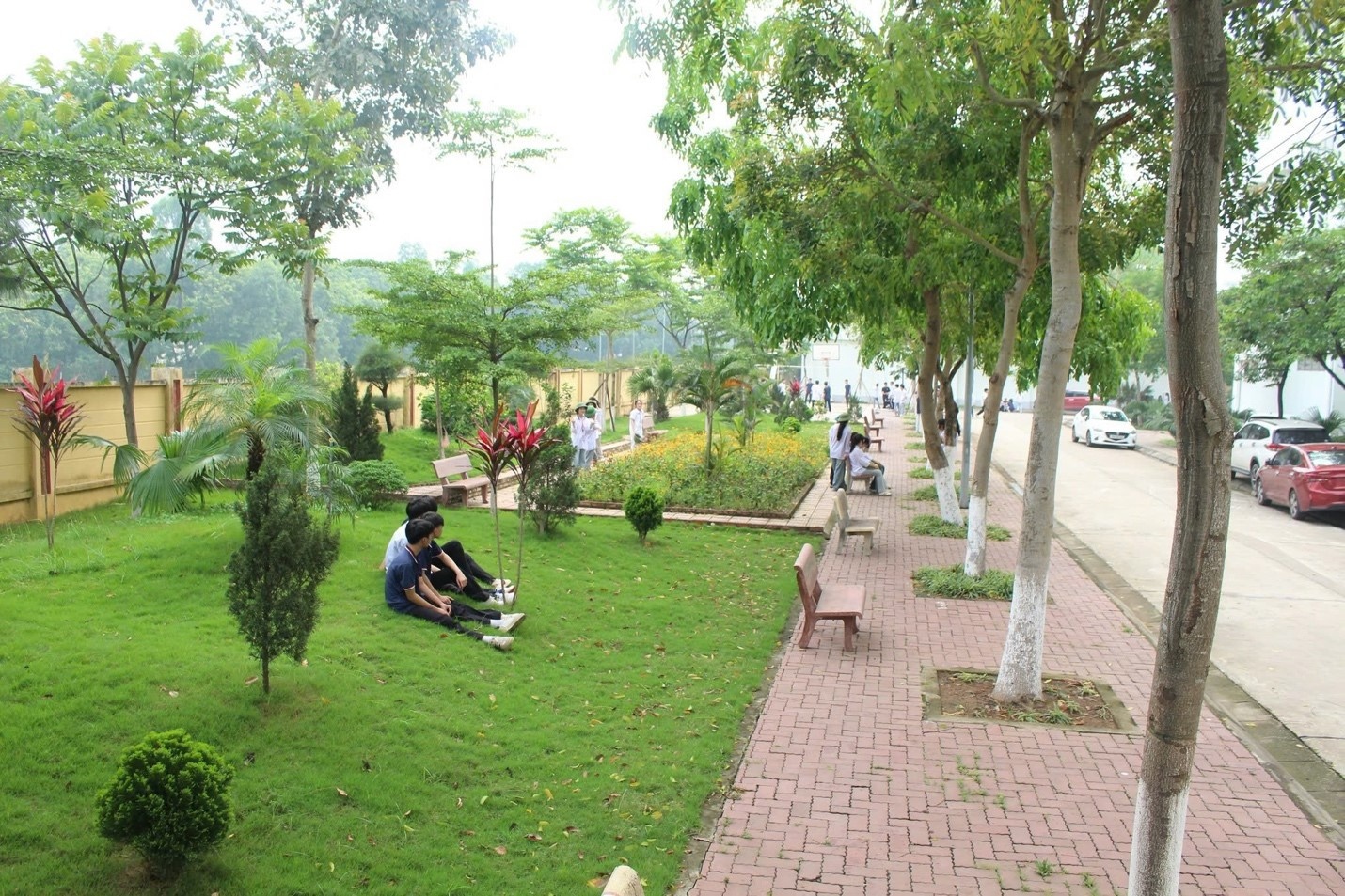 Trường THPT Nguyễn Thị Giang - Ngôi trường xanh nơi gieo mầm tri thức và yêu thương từ thiên nhiên Trường THPT Nguyễn Thị Giang - Ngôi trường xanh nơi gieo mầm tri thức và yêu thương từ thiên nhiên