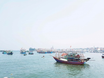 Thanh Hóa: Xử lý nghiêm tàu cá mất kết nối thiết bị giám sát hành trình