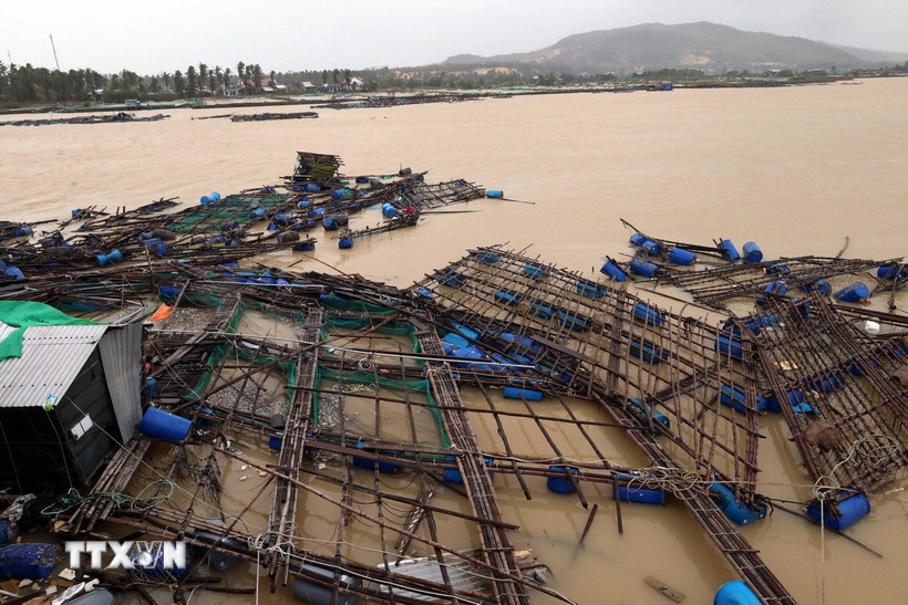 Sự cố 100 can axit sunfuric bị lũ cuốn trôi tại Đắk Lắk: Chuyên gia khuyến cáo