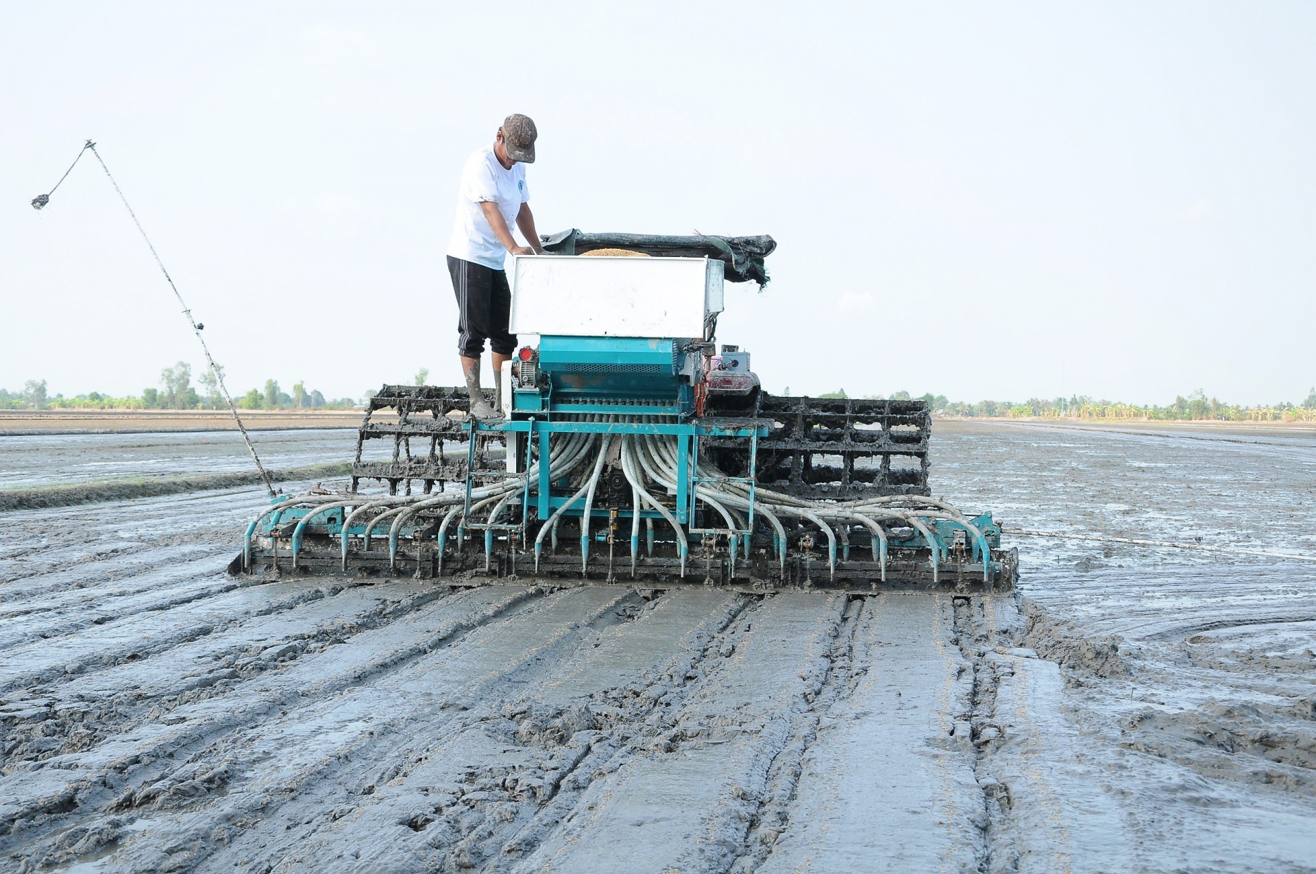 Hợp lực để nâng sức chống chịu cho nông nghiệp ĐBSCL và Nam Trung Bộ