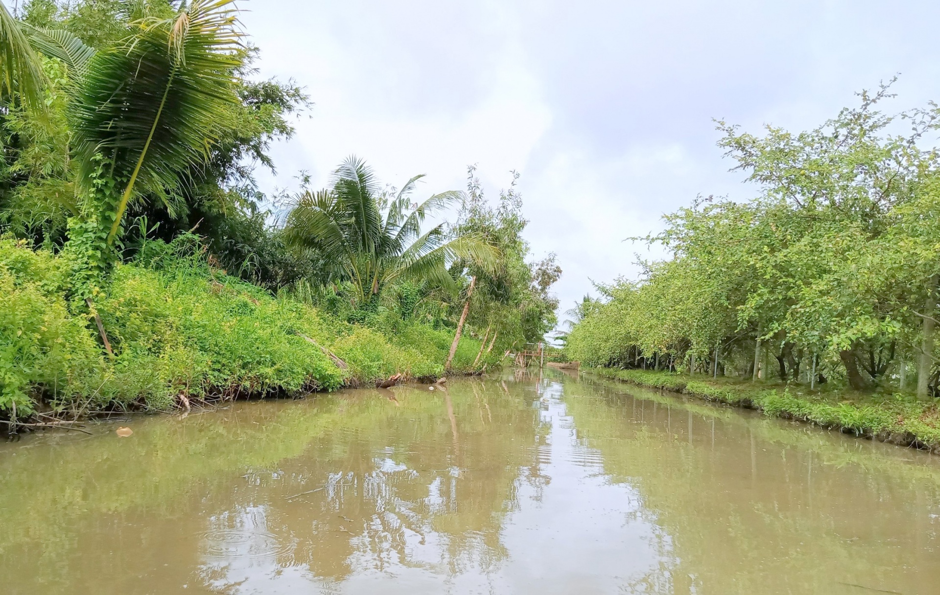 Hợp lực để nâng sức chống chịu cho nông nghiệp ĐBSCL và Nam Trung Bộ