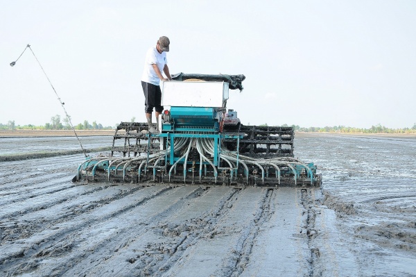 ĐBSCL tìm lời giải nâng cao sức khỏe đất cho sản xuất bền vững