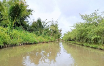 Hợp lực để nâng sức chống chịu cho nông nghiệp ĐBSCL và Nam Trung Bộ