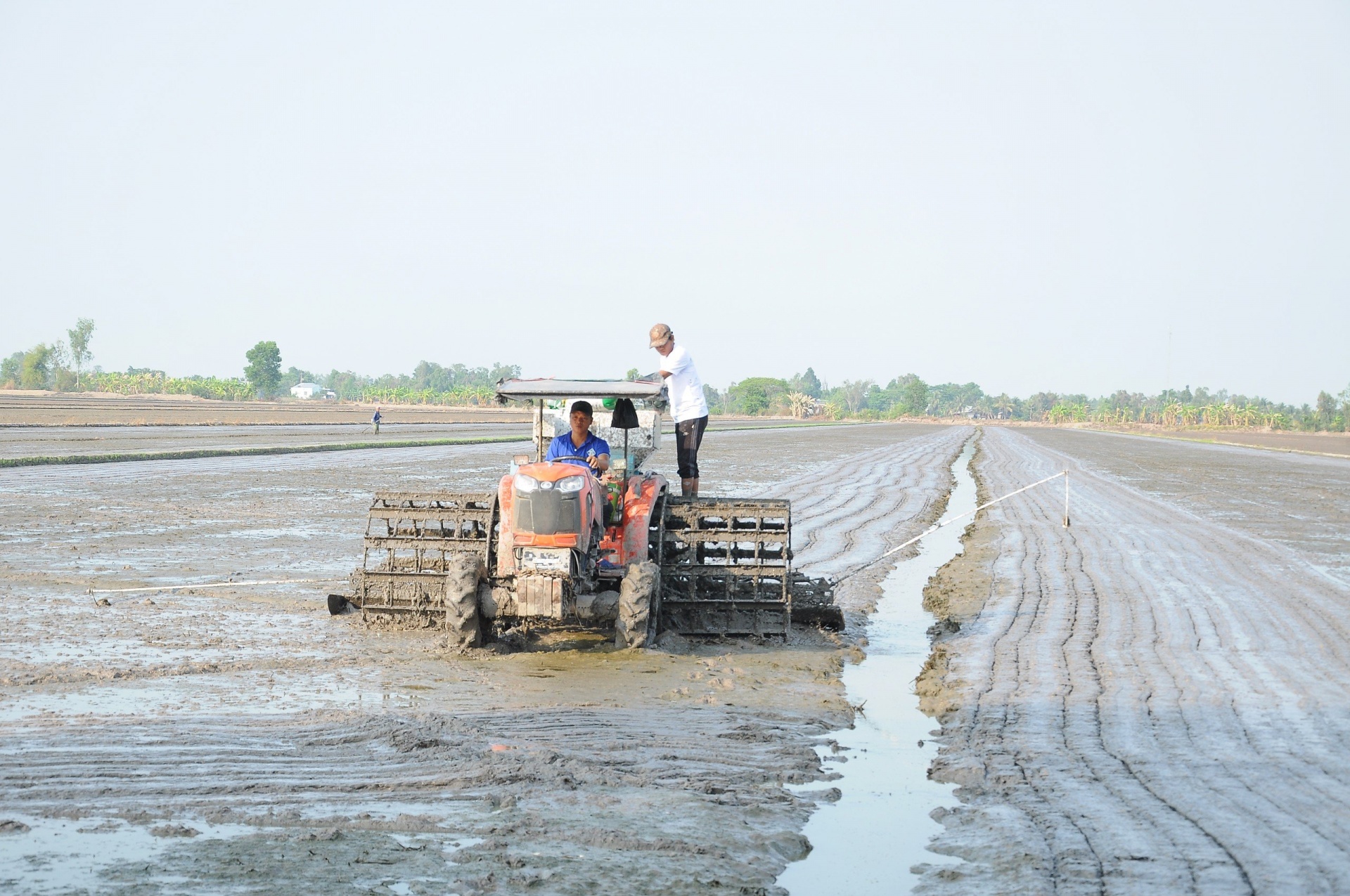 Tăng trưởng xanh từ nông nghiệp tuần hoàn và công nghệ số