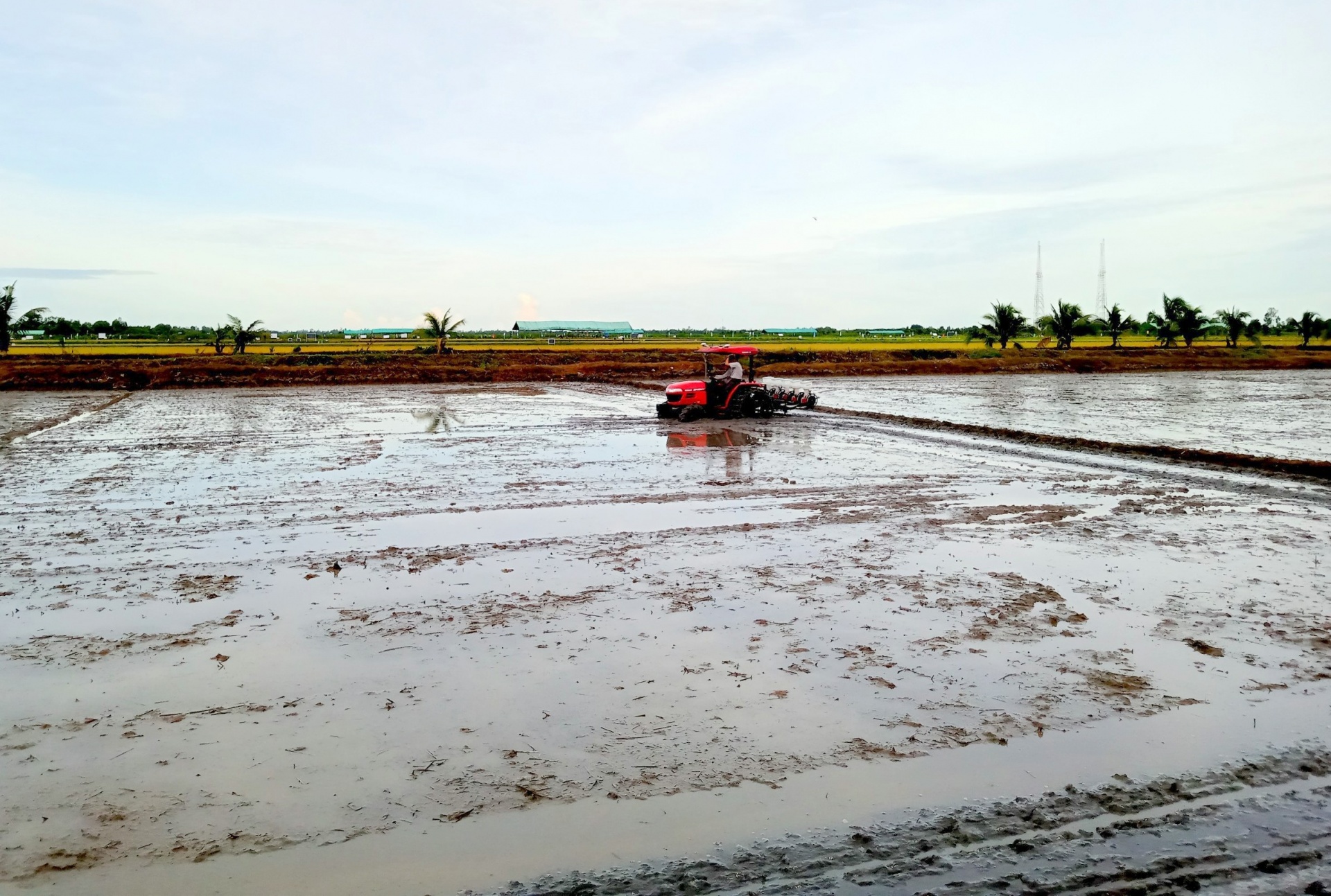 Tăng trưởng xanh từ nông nghiệp tuần hoàn và công nghệ số