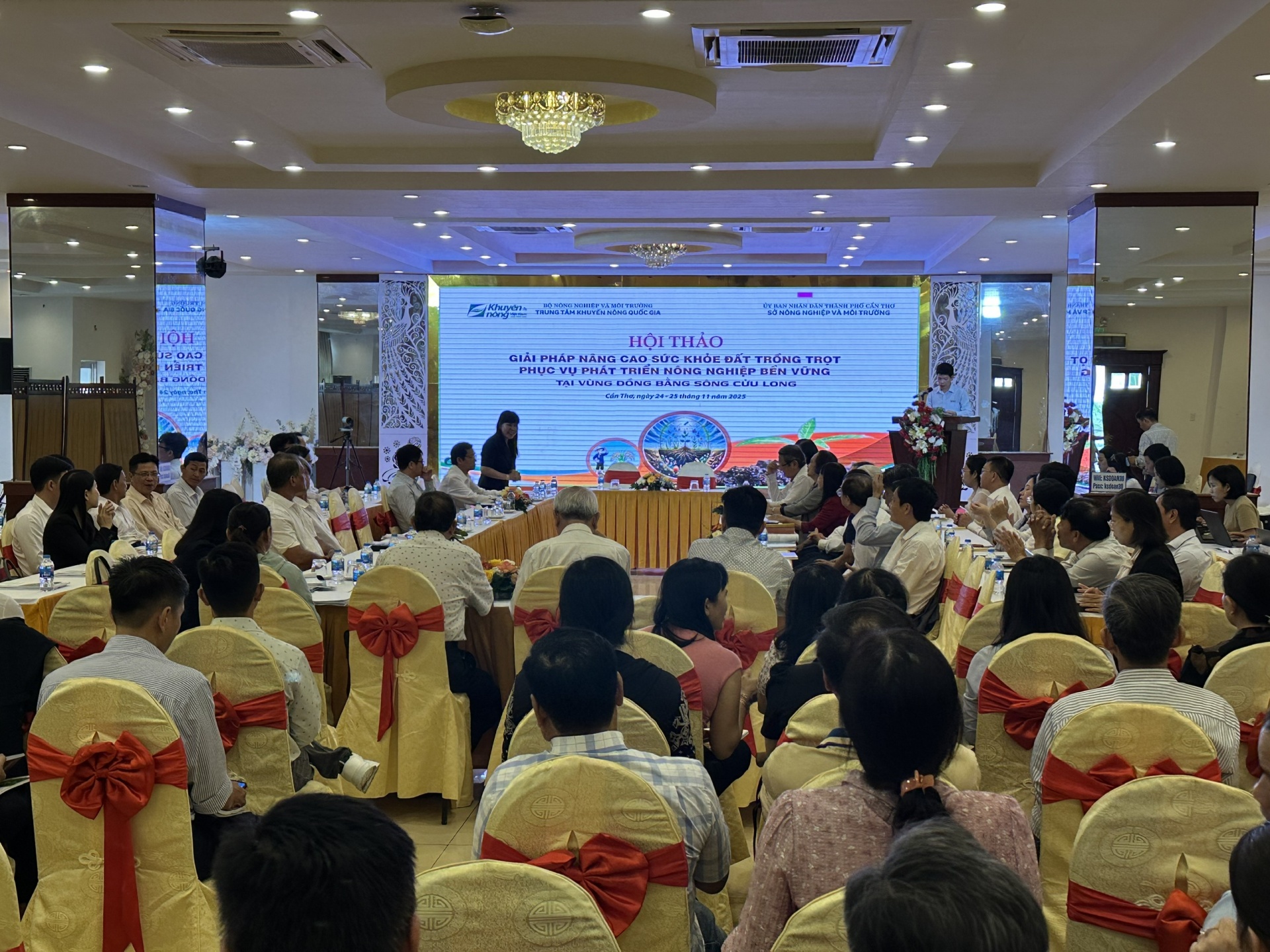 ĐBSCL tìm lời giải nâng cao sức khỏe đất cho sản xuất bền vững