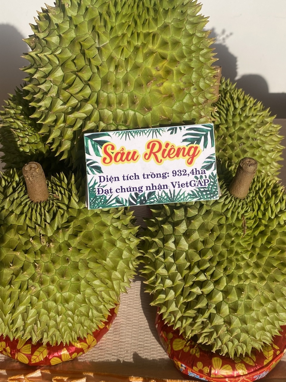 Khi Bí thư xã làm “Đại sứ OCOP” ở xã Tân Hòa, TP. Cần Thơ Khi Bí thư xã làm “Đại sứ OCOP” ở xã Tân Hòa, TP. Cần Thơ