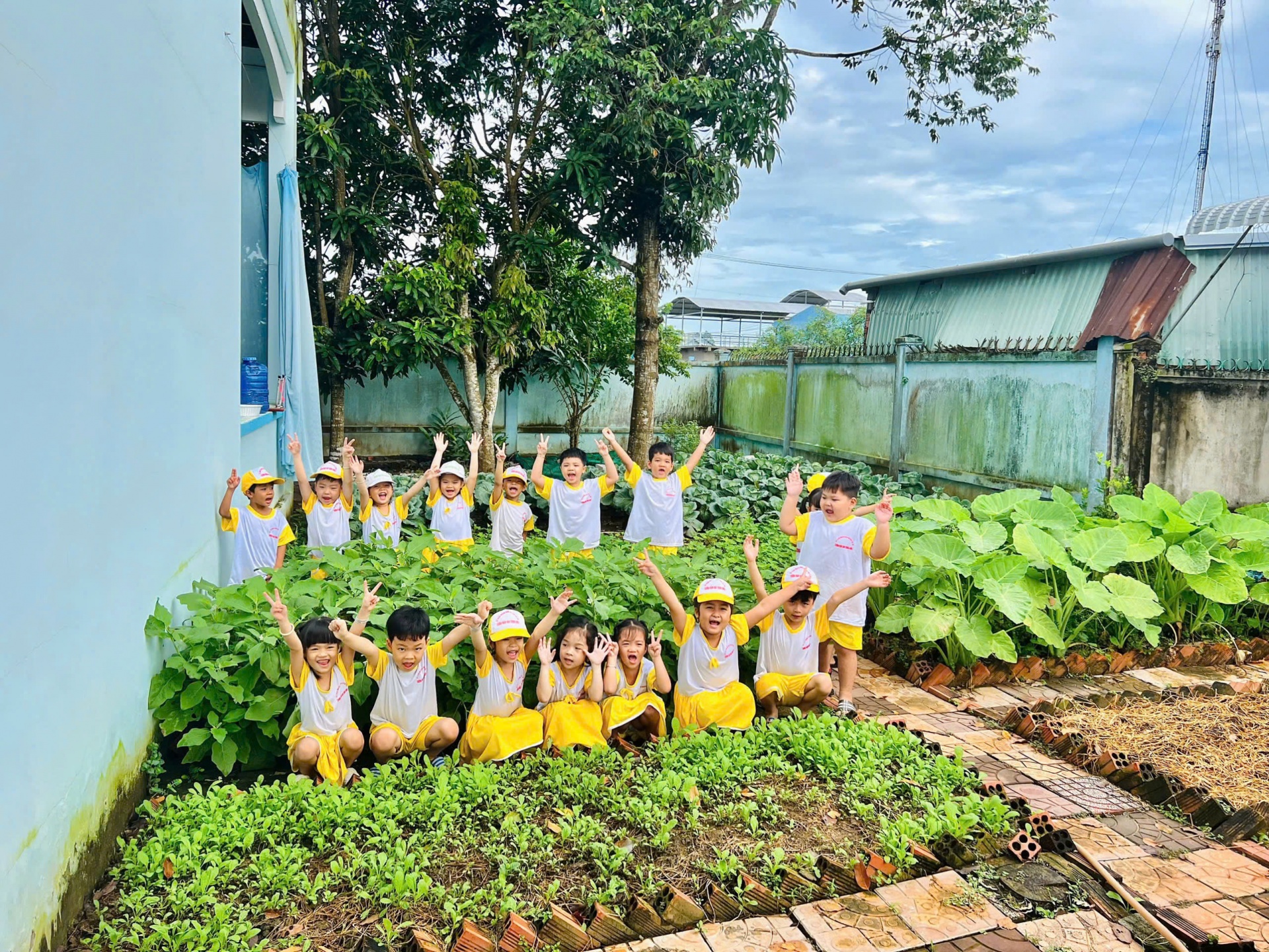 Điểm sáng “Dân vận khéo” từ mô hình Khuôn viên xanh - Vườn rau sạch ở xã Trung Hưng (Cần Thơ)