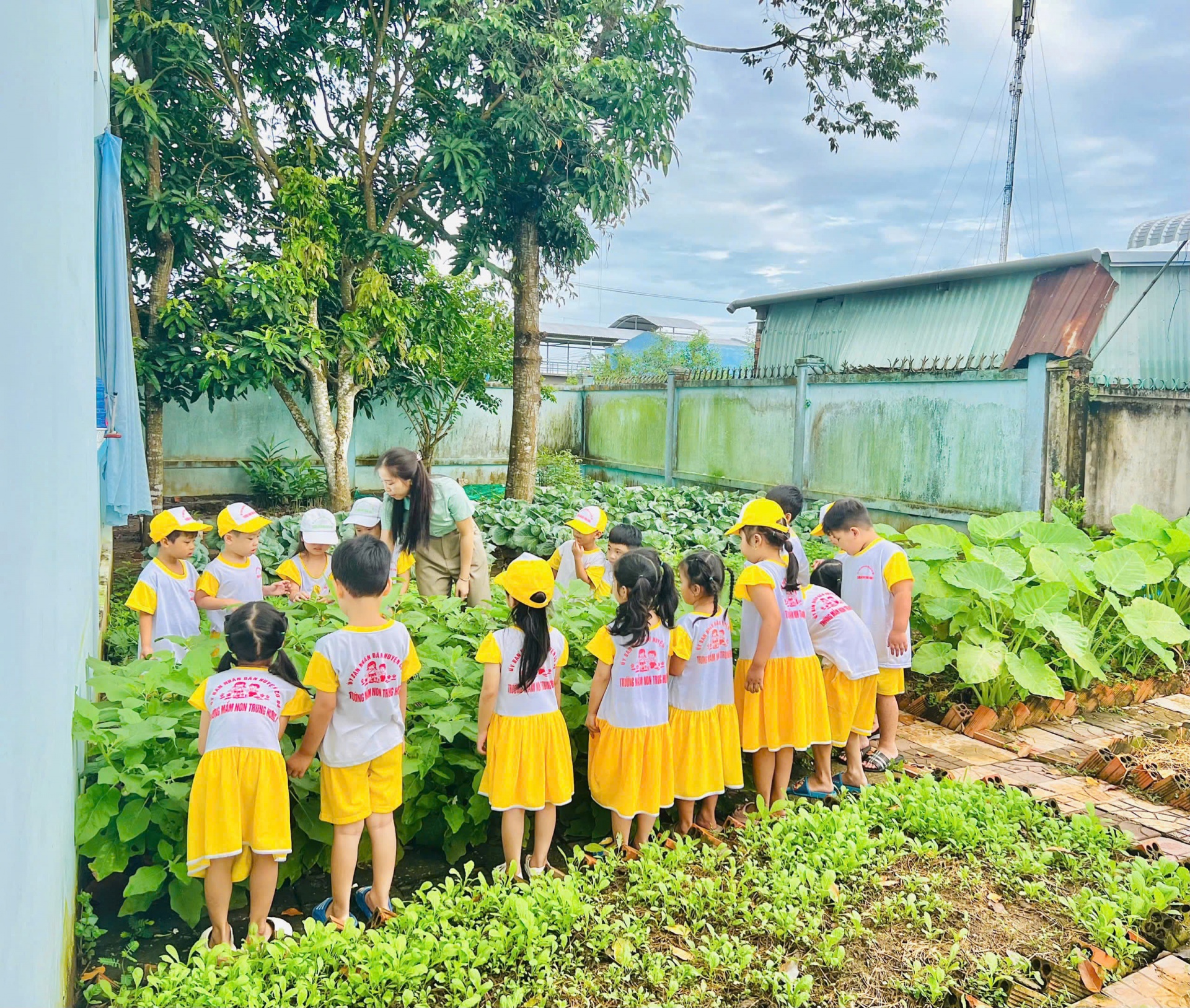 Điểm sáng “Dân vận khéo” từ mô hình Khuôn viên xanh - Vườn rau sạch ở xã Trung Hưng (Cần Thơ)