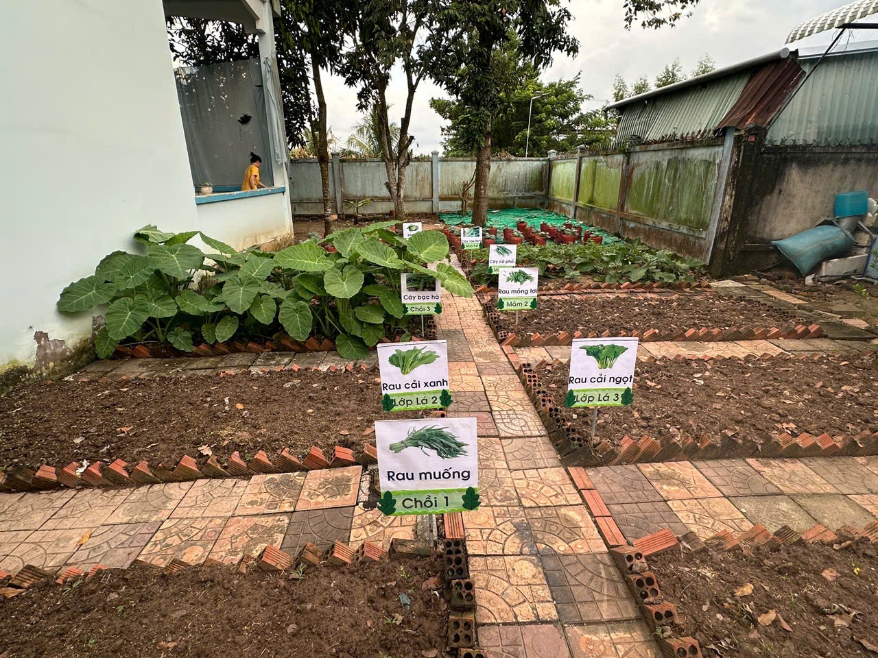 Điểm sáng “Dân vận khéo” từ mô hình Khuôn viên xanh - Vườn rau sạch ở xã Trung Hưng (Cần Thơ)