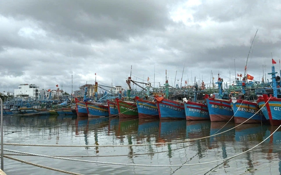 Gia Lai, Khánh Hòa: Khẩn trương triển khai các biện pháp cấp bách ứng phó bão số 15