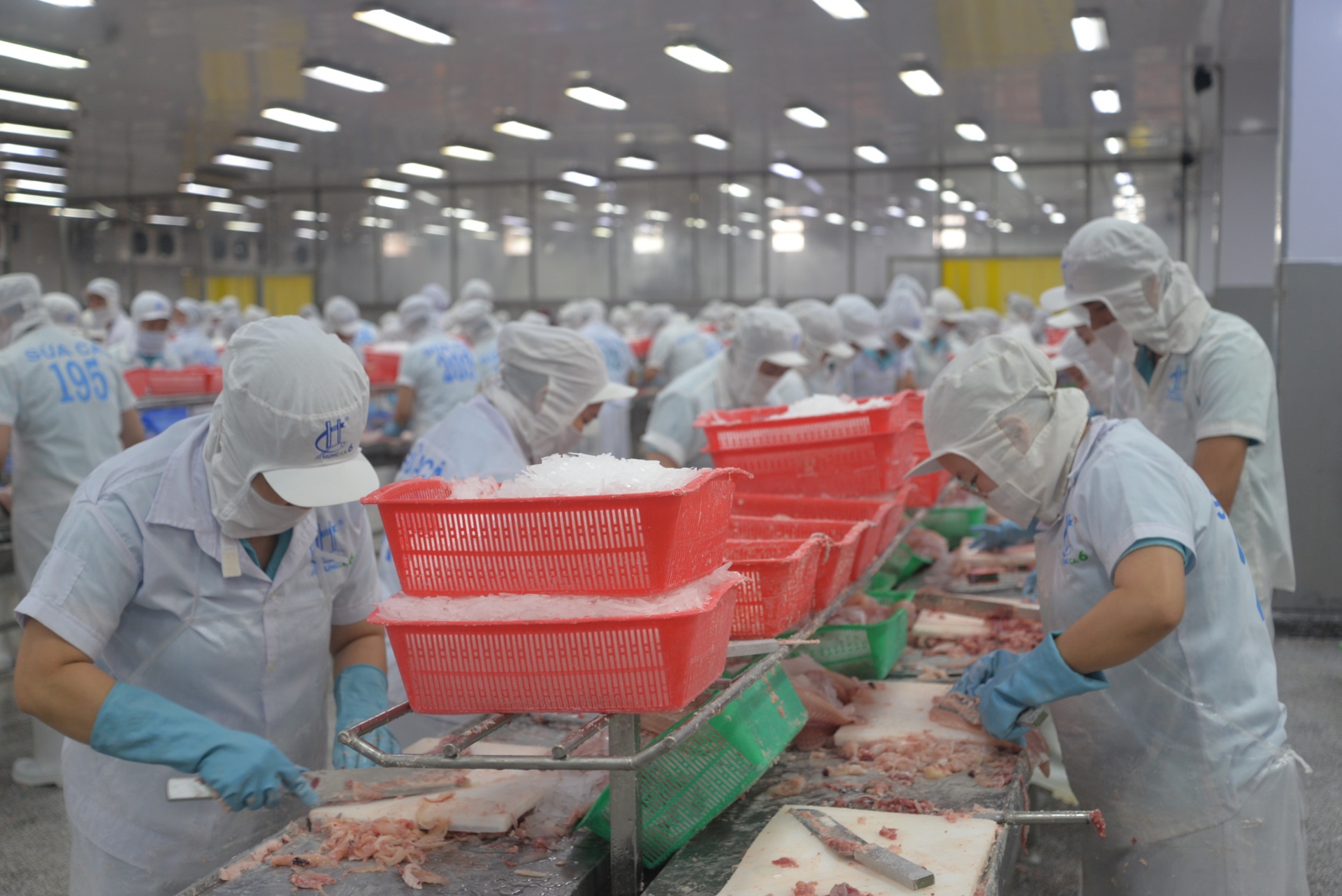 Doanh nghiệp ĐBSCL hướng tới chuyển đổi xanh và phát triển bền vững