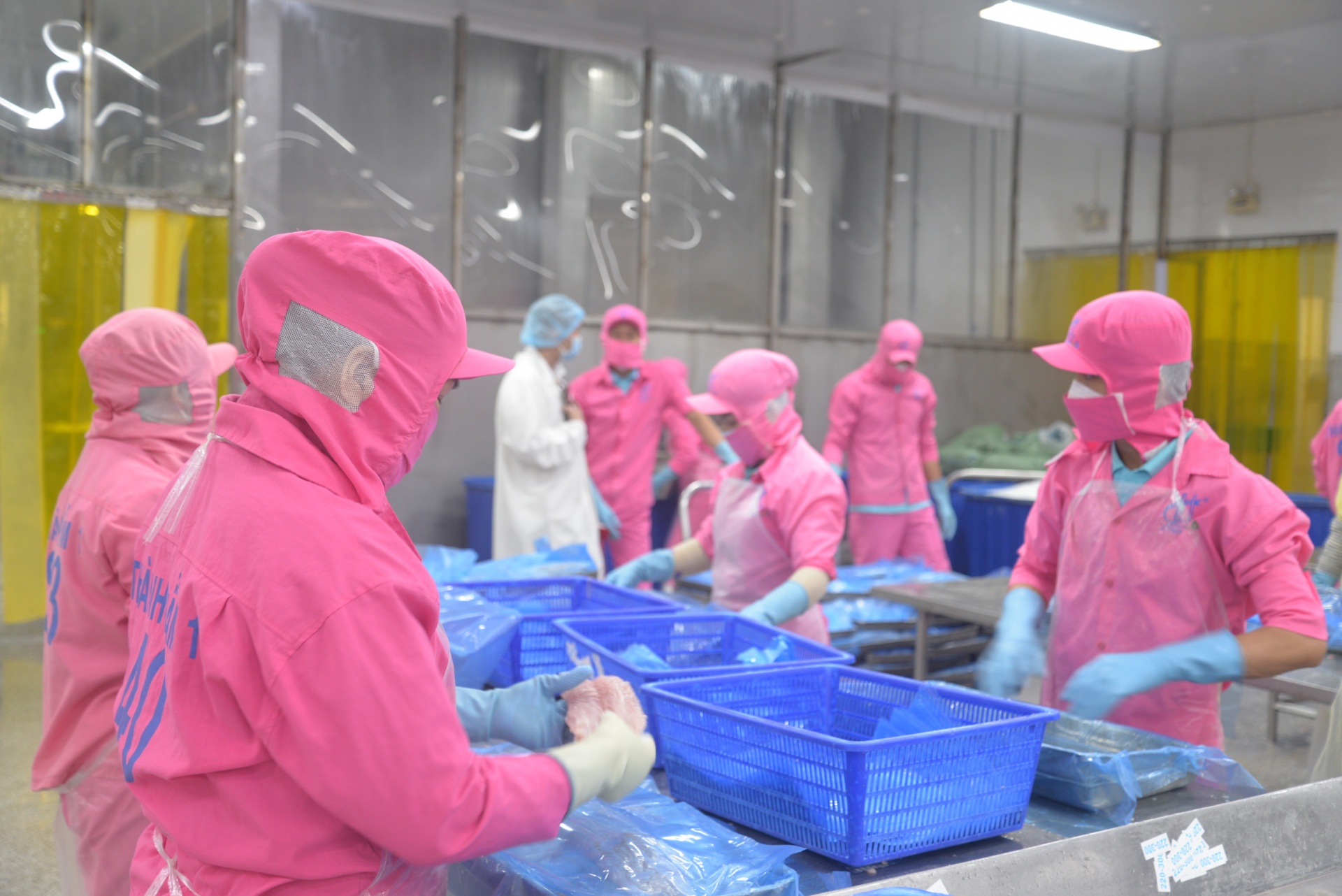 Doanh nghiệp ĐBSCL hướng tới chuyển đổi xanh và phát triển bền vững