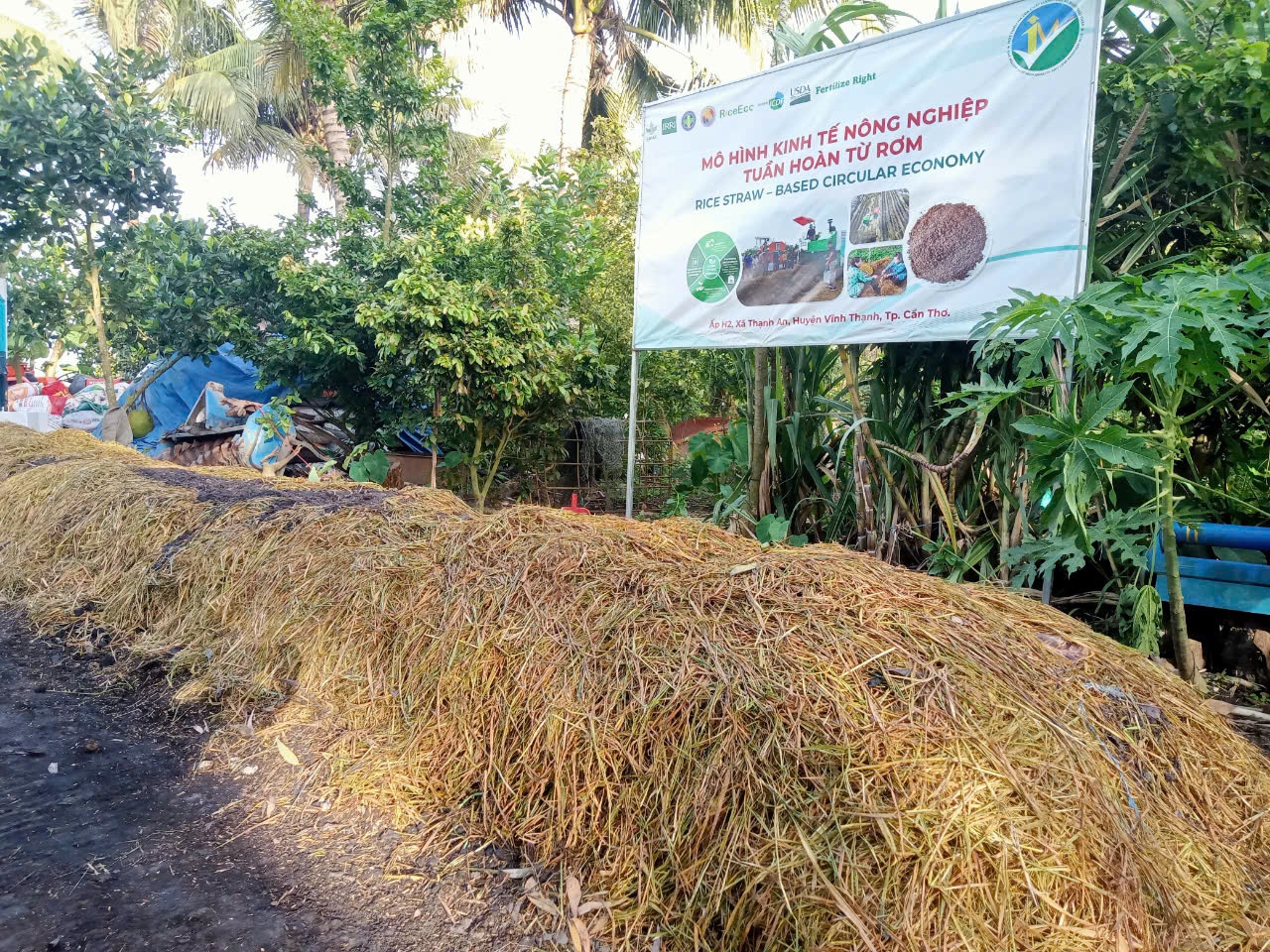 Nông dân miền Tây thôi đốt rơm rạ