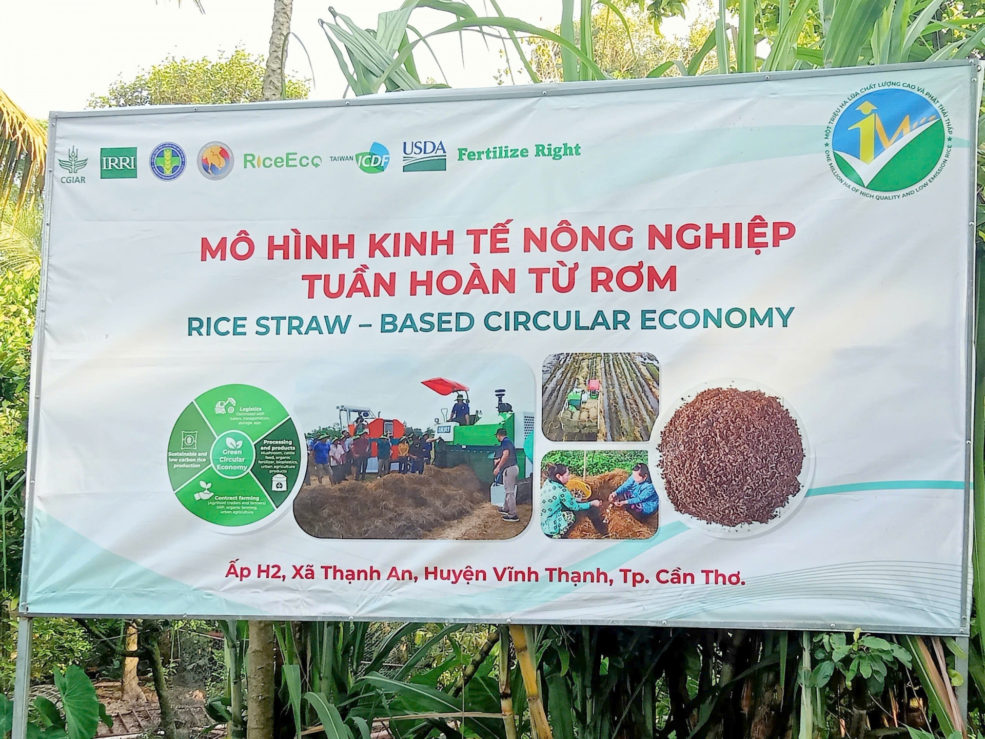 Nông dân miền Tây thôi đốt rơm rạ
