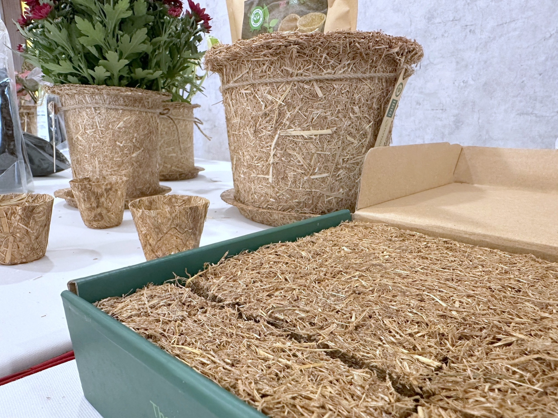 Nông dân miền Tây thôi đốt rơm rạ