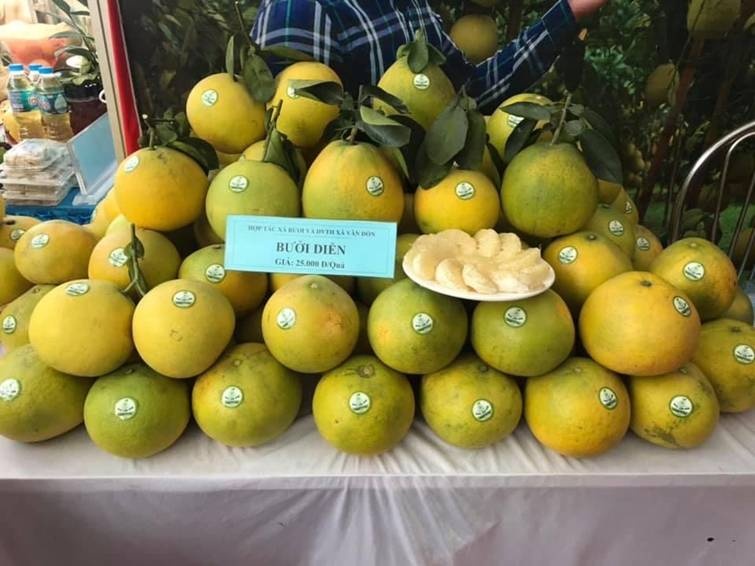 trong giai đoạn 2025-2030, tỉnh Phú Thọ đang đẩy mạnh thu hút doanh nghiệp, hợp tác xã và nhà đầu tư tham gia sâu vào khâu chế biến và tiêu thụ nông sản trong giai đoạn 2025-2030, tỉnh Phú Thọ đang đẩy mạnh thu hút doanh nghiệp, hợp tác xã và nhà đầu tư tham gia sâu vào khâu chế biến và tiêu thụ nông sản