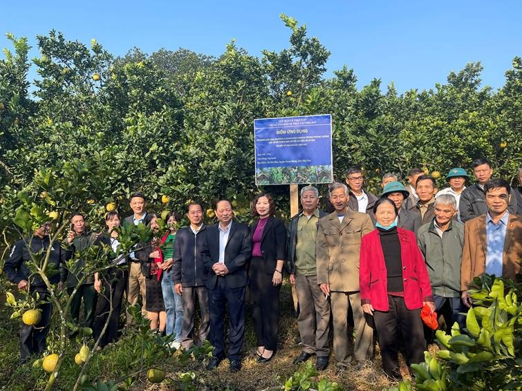 Toàn tỉnh hiện có 686 vùng trồng trọt tập trung với tổng diện tích 82,8 nghìn ha. Phú Thọ cũng đã cấp và quản lý 788 mã số vùng trồng, trong đó có 106 mã phục vụ trực tiếp cho xuất khẩu yếu tố quan trọng giúp nông sản của tỉnh vươn ra thế giới, tiếp cận các thị trường khó tính. Toàn tỉnh hiện có 686 vùng trồng trọt tập trung với tổng diện tích 82,8 nghìn ha. Phú Thọ cũng đã cấp và quản lý 788 mã số vùng trồng, trong đó có 106 mã phục vụ trực tiếp cho xuất khẩu yếu tố quan trọng giúp nông sản của tỉnh vươn ra thế giới, tiếp cận các thị trường khó tính.