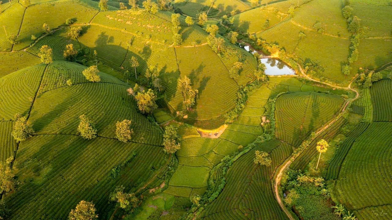 Du lịch - Ngành mũi nhọn và động lực trong phát triển kinh tế bền vững của tỉnh Phú Thọ