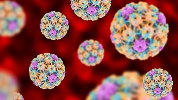 Bộ 3 bảo vệ khỏi HPV: Tiêm chủng, xét nghiệm tầm soát định kỳ và theo dõi kịp thời