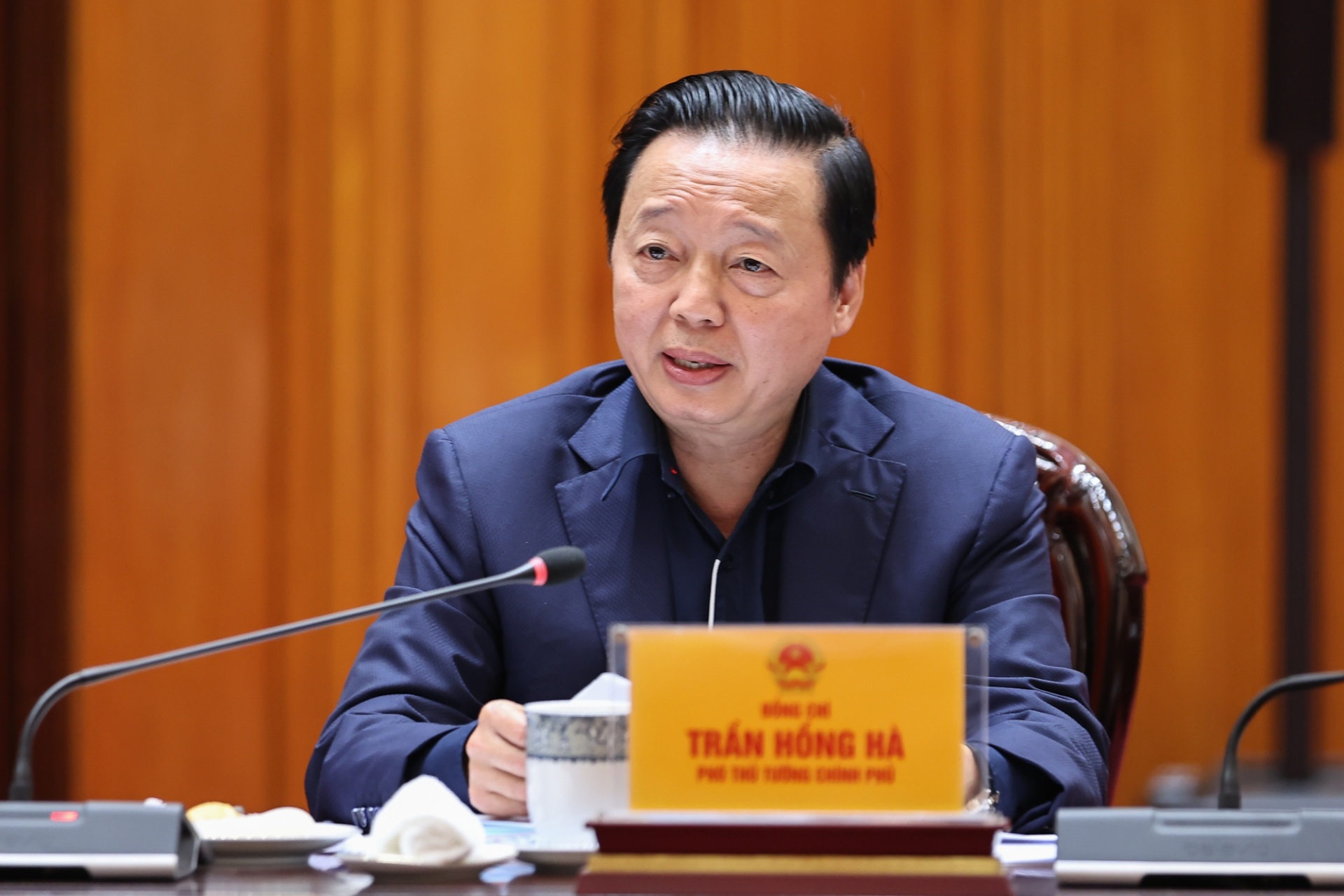   Phó Thủ tướng Trần Hồng Hà phát biểu - Ảnh: VGP