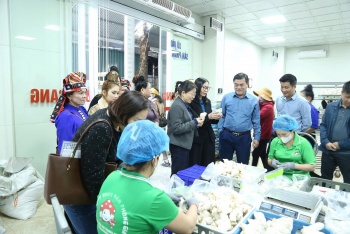 Phú Thọ: Khẳng định vị thế trung tâm phát triển mới của vùng trung du miền núi phía bắc