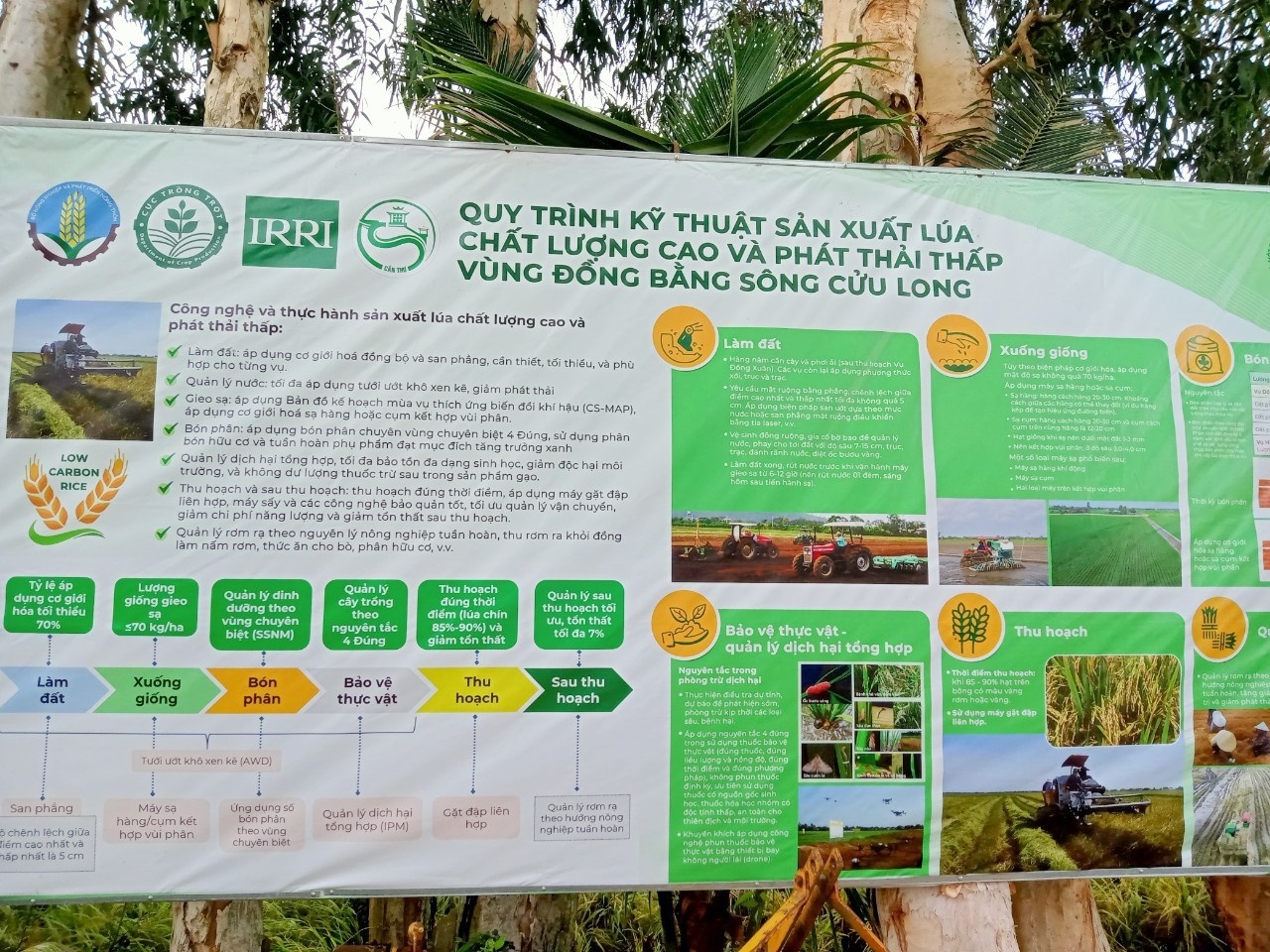 Thúc đẩy hợp tác Việt Nam - Nhật Bản trong nông nghiệp xanh ĐBSCL