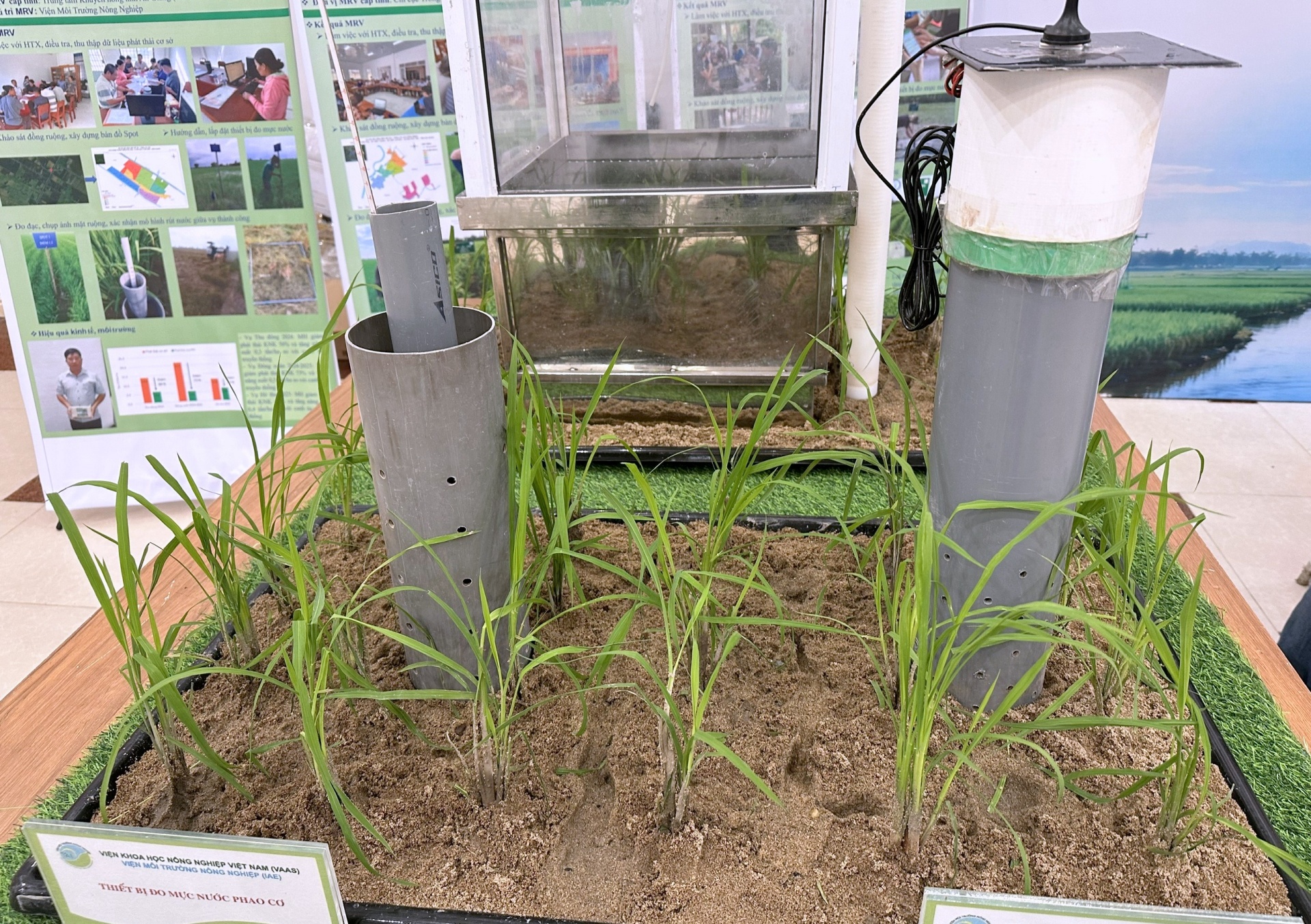 Thúc đẩy hợp tác Việt Nam - Nhật Bản trong nông nghiệp xanh ĐBSCL