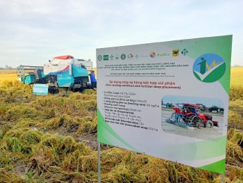 Thúc đẩy hợp tác Việt Nam - Nhật Bản trong nông nghiệp xanh ĐBSCL