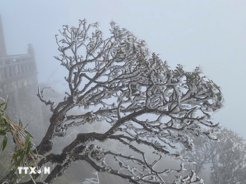 Sơn La: Vùng núi cao rét đậm, có khả năng xảy ra băng giá từ đêm 13/12