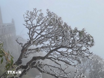 Sơn La: Vùng núi cao rét đậm, có khả năng xảy ra băng giá từ đêm 13/12