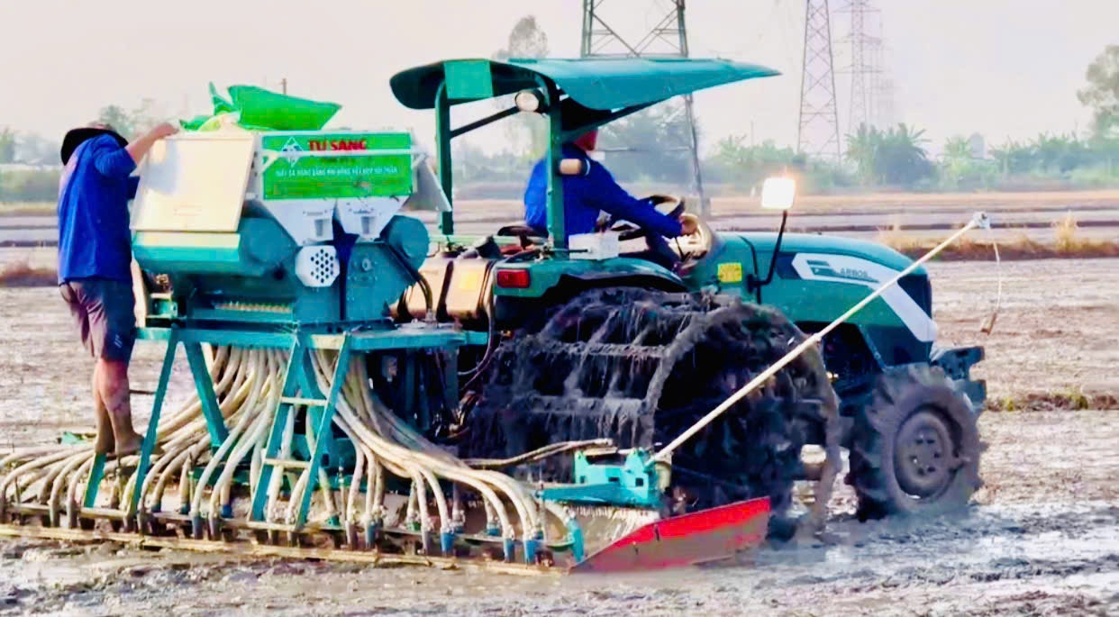 Đề án 1 triệu hecta lúa chất lượng cao tạo bước ngoặt trong tư duy làm nông