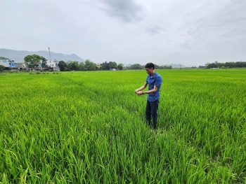 thanh hoa ho tro to i da 90 trie u do ngha do i vo i vu ng sa n xua t lu a hu u co