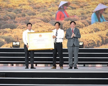 khai mac festival hoa kieng sa dec dong thap lan thu 2 nam 2025