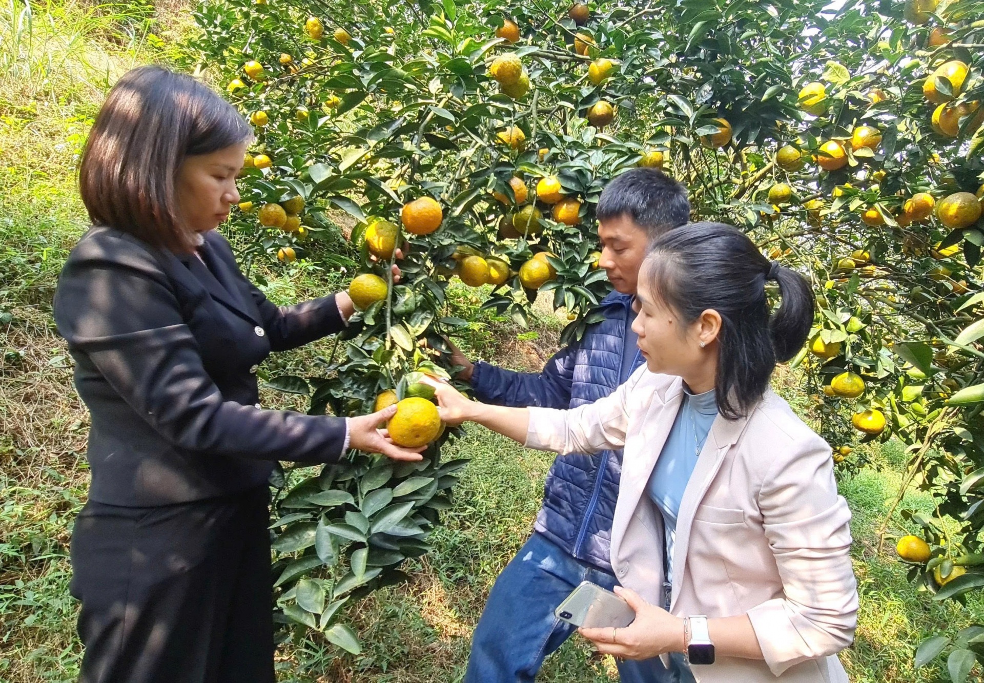 Tuyên Quang: Quyết liệt chống buôn lậu, hàng giả trong lĩnh vực nông nghiệp, môi trường