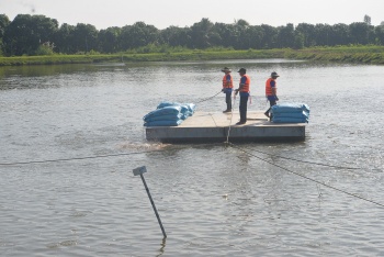 Xuất khẩu cá tra lập kỷ lục, bài toán con giống và bảo vệ môi trường vẫn nóng