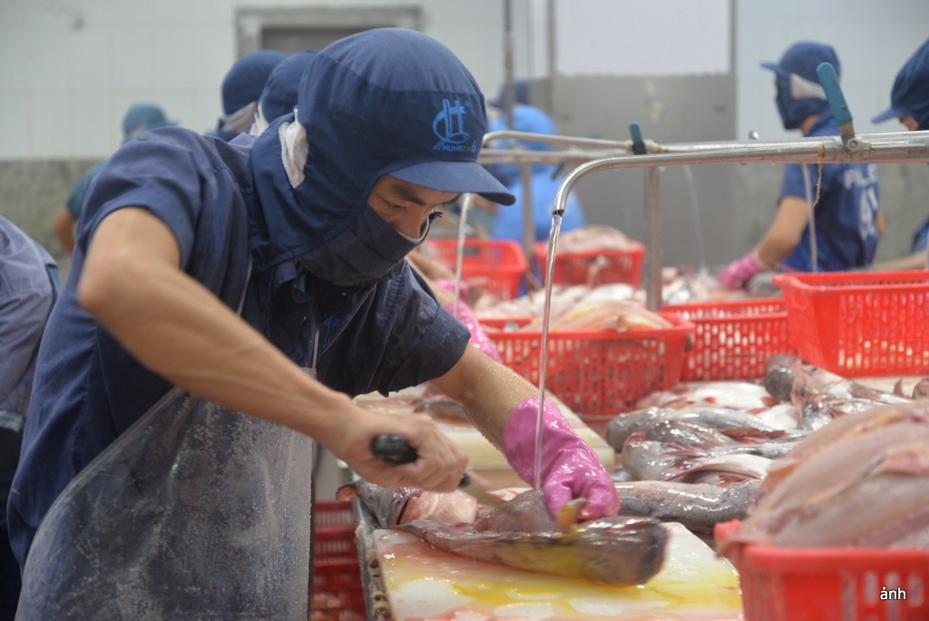 Áp lực môi trường buộc doanh nghiệp ĐBSCL phải chuyển đổi xanh