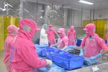 ap luc moi truong buoc doanh nghiep dbscl phai chuyen doi xanh