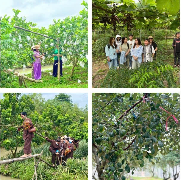 Đến với khu sinh thái sông Hậu Farm để trải nghiệm sắc xuân