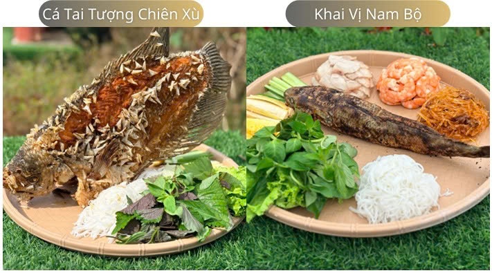 Đến với khu sinh thái sông Hậu Farm để trải nghiệm sắc xuân