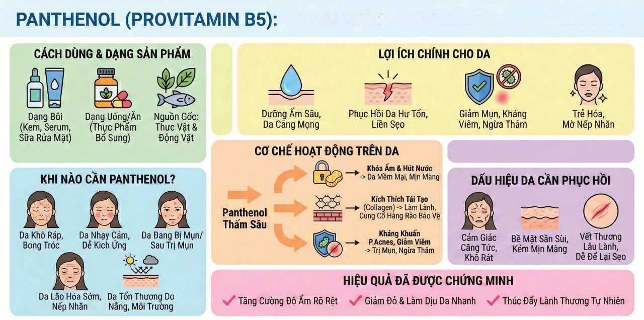 Nghiên cứu ứng dụng D-Panthenol và hệ nền sinh học: Bước tiến mới của DUYENTHI GROUP trong phục hồi hàng rào bảo vệ da Nghiên cứu ứng dụng D-Panthenol và hệ nền sinh học: Bước tiến mới của DUYENTHI GROUP trong phục hồi hàng rào bảo vệ da