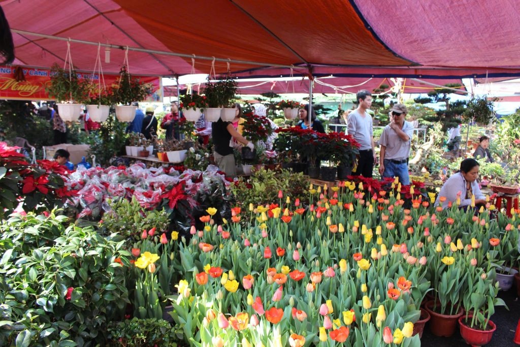 Chợ Viềng Xuân Vụ Bản – Phiên chợ cầu may độc nhất vô nhị Chợ Viềng Xuân Vụ Bản – Phiên chợ cầu may độc nhất vô nhị