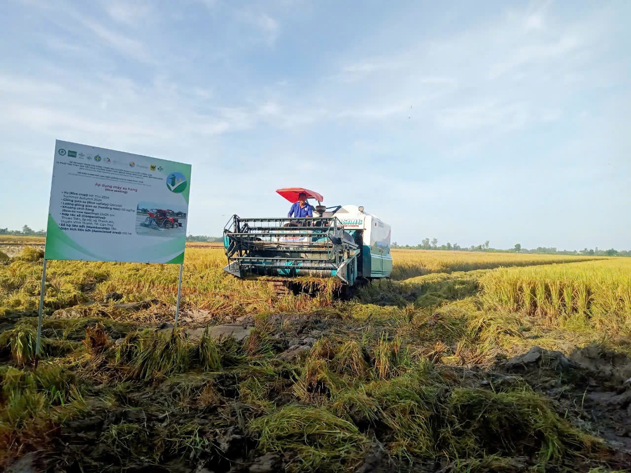 Nghị quyết 68 tiếp sức cho doanh nghiệp ĐBSCL vượt khó, bứt phá Nghị quyết 68 tiếp sức cho doanh nghiệp ĐBSCL vượt khó, bứt phá