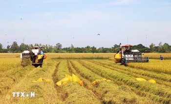 Đại hội XIV của Đảng: Nền tảng mới cho động lực tăng trưởng xanh