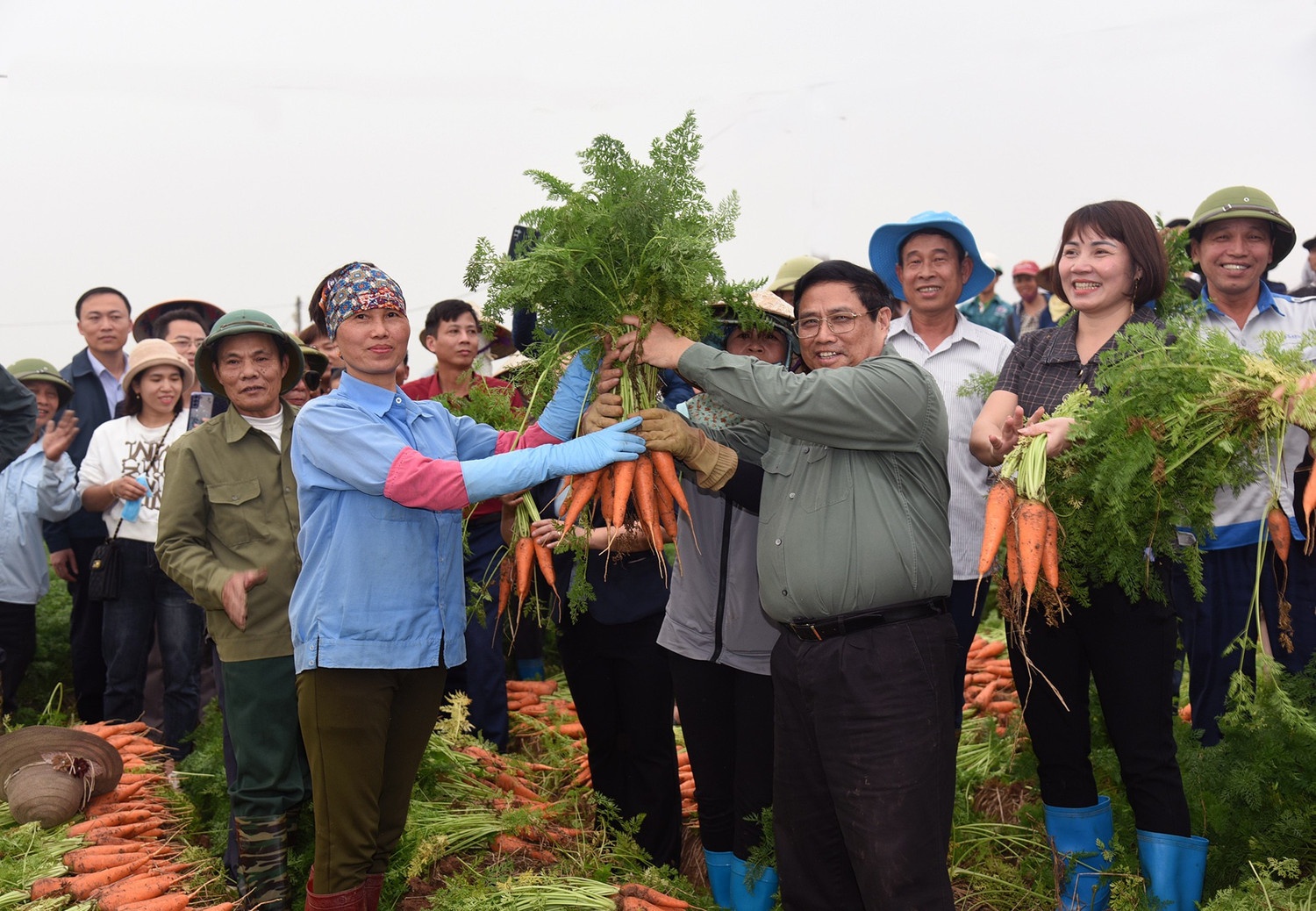   Thủ tướng Chính phủ Phạm Minh Chính thu hoạch cà-rốt cùng nông dân tỉnh Hải Dương-nay là thành phố Hải Phòng, chiều 15/2/2024.