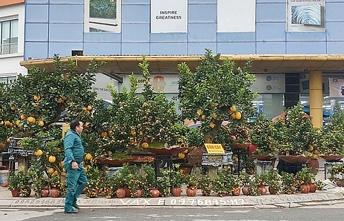 Xuân đất Tổ gắn kết lòng dân, vượt khó đón Tết an vui Xuân đất Tổ gắn kết lòng dân, vượt khó đón Tết an vui